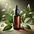 Laurel Leaf Macerate 10 ml cosmetic ingredient Mylo Opt