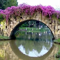 Сухая гранулированная отдушка Flower Bridge, 1 кг описание и применение