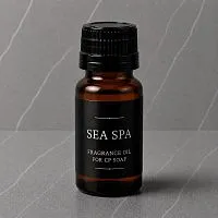 Отдушка Морское SPA для мыла с нуля , 10 мл артикул DB17042314b