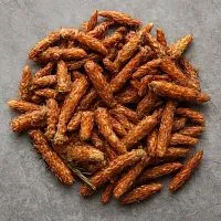 Pine buds 10 g cosmetic ingredient Mylo Opt