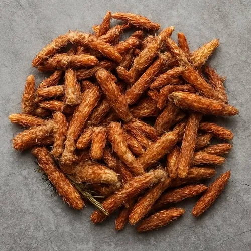 Pine buds 10 g Mylo Opt global supplier Pine buds 10 g cosmetic ingredient Mylo Opt