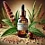 Amaranth oil 100% concentrate 20 g cosmetic ingredient Mylo Opt