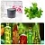 Melissa Extract Powder 1:5 1 kg, photos, reviews, use