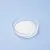 L-Theanine, 1 кг артикул VV25120803