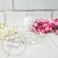 Bottle Tender 10 ml with lid rose from 100 pcs