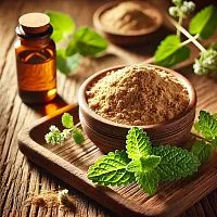 Экстракт Мелиссы 1:5 сухой, 1 кг описание и применение