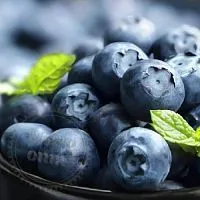 Отдушка Bluberry hydro, 1 литр