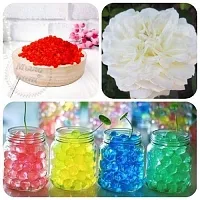 Rosa Multiflora flavored granules 1 kg cosmetic ingredient Mylo Opt