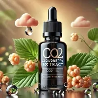 Cloudberry CO2 Extract 1 kg cosmetic ingredient Mylo Opt