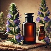 Echium Crooked-Flowered Oil 1 L cosmetic ingredient Mylo Opt