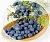 Juniper Essential Oil 1 L, photos, reviews, use