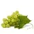 Fruit powder White grapes, 10 g, photos, reviews, use