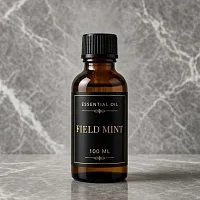 Field mint essential oil 100 ml cosmetic ingredient Mylo Opt