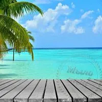 Isopropyl alcohol masking Fragrance Oil Sea Breeze 1 L cosmetic ingredient Mylo Opt