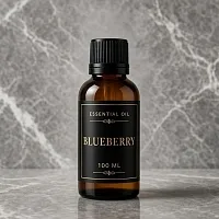 Ефірна олія Blueberry 100 мл