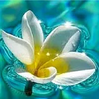 Frangipani wax 1 kg cosmetic ingredient Mylo Opt
