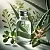 Kalanchoe Hydrosol 1 L, photos, reviews, use