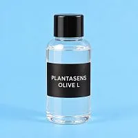 PLANTASENS OLIVE LD 20 ml cosmetic ingredient Mylo Opt