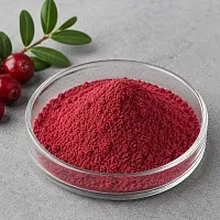 Сухий екстракт Журавлини 1 кг
