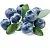 Food Flavor Blueberry (Ukraine) 1 L cosmetic ingredient Mylo Opt