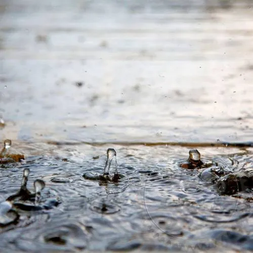 Отдушка After the Rain, 1 л сырье для косметики Отдушка After the Rain, 1 л артикул TM21080405