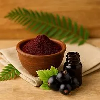 Порошок Черной Смородины, 500 гр описание и применение