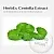 HerbEx Centella Extract, 1 л описание и применение