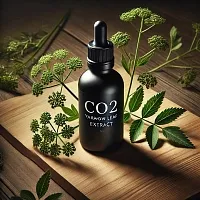 Yarrow CO2 Extract (leaf) 1 kg cosmetic ingredient Mylo Opt