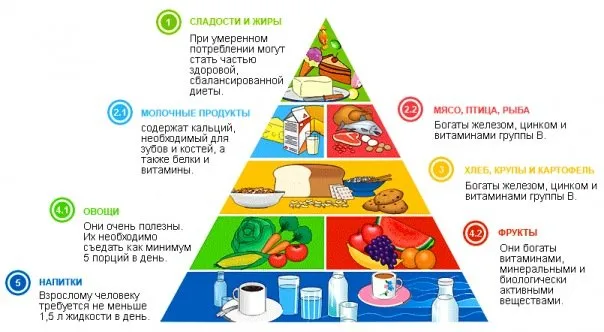 Фото до статті: рецепти ПП: правильне харчування, низькокалорійні продукти Фото до статті: рецепти ПП: правильне харчування, низькокалорійні продукти