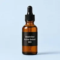 Active Extract Beech Bud BIO 100 ml cosmetic ingredient Mylo Opt