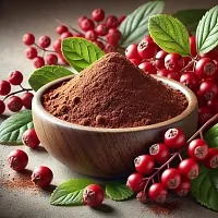 Schisandra Extract Powder 1 kg cosmetic ingredient Mylo Opt