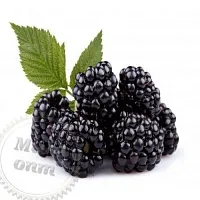 Blackberry Slime Flavor, 5 ml cosmetic ingredient Mylo Opt