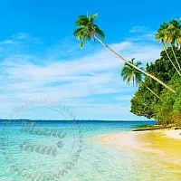 Island Escape Fragrance Oil, 1 L