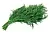 Dill Flavor Powder 1 kg cosmetic ingredient Mylo Opt
