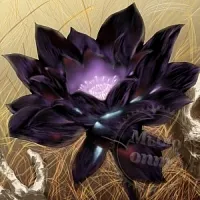 Hydrofiltrat Marine Lotus G 1 L cosmetic ingredient Mylo Opt