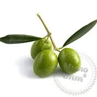 Hidroxitirosol, 1 л описание и применение