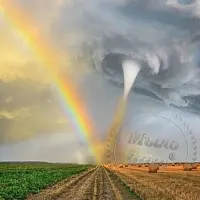 Авто ароматизатор типу Бочонок Tornado 1 літр