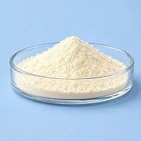 ProteSoy, 10 гр артикул VV23110308