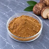 Shiitake Extract Powder 5 g cosmetic ingredient Mylo Opt