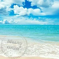 Fragrance Oil for acidic environment Aqua 1 L cosmetic ingredient Mylo Opt