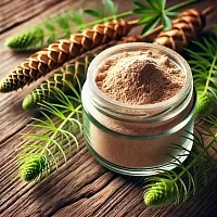Экстракт Хвоща сухой, 5 гр