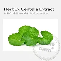 HerbEx Centella Extract 100 ml cosmetic ingredient Mylo Opt