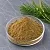 Horsetail Extract Powder 5 g cosmetic ingredient Mylo Opt