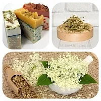 Dried flowers Meadowsweet, 10 g