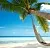 Отдушка Ocean Breeze, 1 л описание и применение