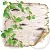 Birch bark powder 100 g cosmetic ingredient Mylo Opt