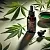 Hemp Oil Extract 1 L cosmetic ingredient Mylo Opt