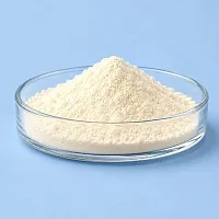 ProteSoy, 100 гр артикул VV23110307