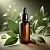 Laurel Leaf Macerate 10 ml, photos, reviews, use