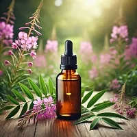 Ivan Tea Essential Oil, 5 мл